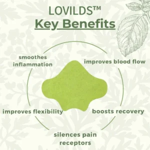 LOVILDS™ Full-Body Pain Relief Patch – Natural Herbal Formula for Back, Neck, Shoulders & Joints, Fast-Acting Comfort