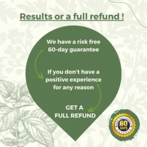 LOVILDS™ Full-Body Pain Relief Patch – Natural Herbal Formula for Back, Neck, Shoulders & Joints, Fast-Acting Comfort