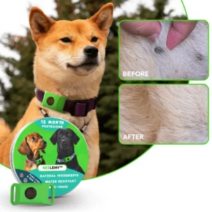 NESLEMY™ 12‑Month Natural Flea & Tick Protection Pendant